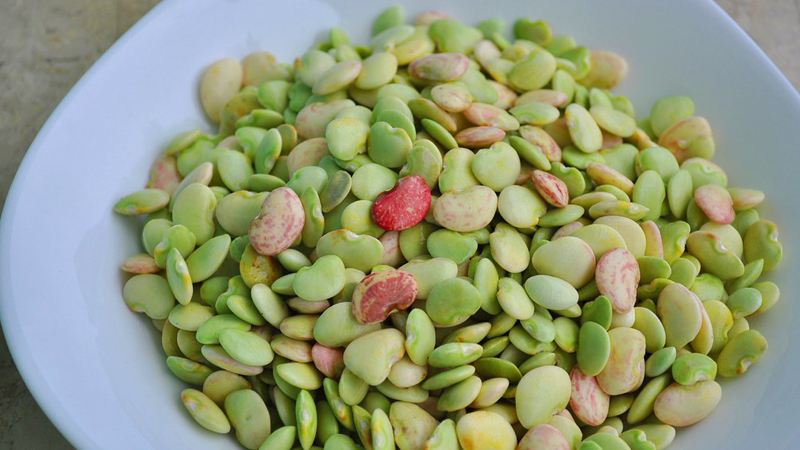 Bowl of legumes, a plant protein